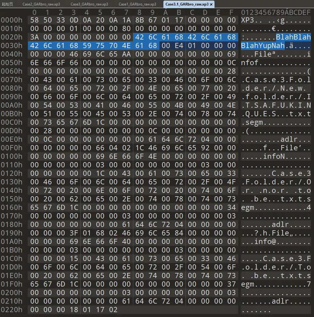 Fig 5.1.2 XP3 打包上面的文件結果